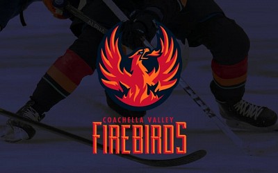 Coachella Valley Firebirds   Playoff Round 1 Game 2