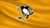 Pittsburgh Penguins vs. Philadelphia Flyers