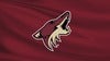 Arizona Coyotes vs. Vancouver Canucks