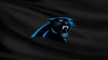 Carolina Panthers vs. Jacksonville Jaguars