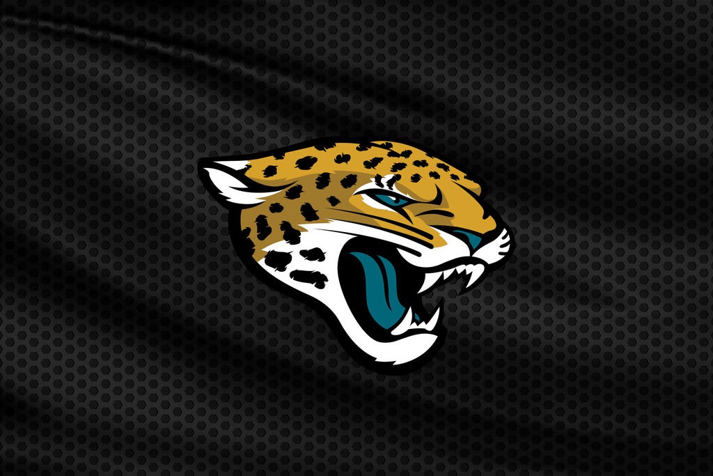 Jacksonville Jaguars vs. Houston Texans