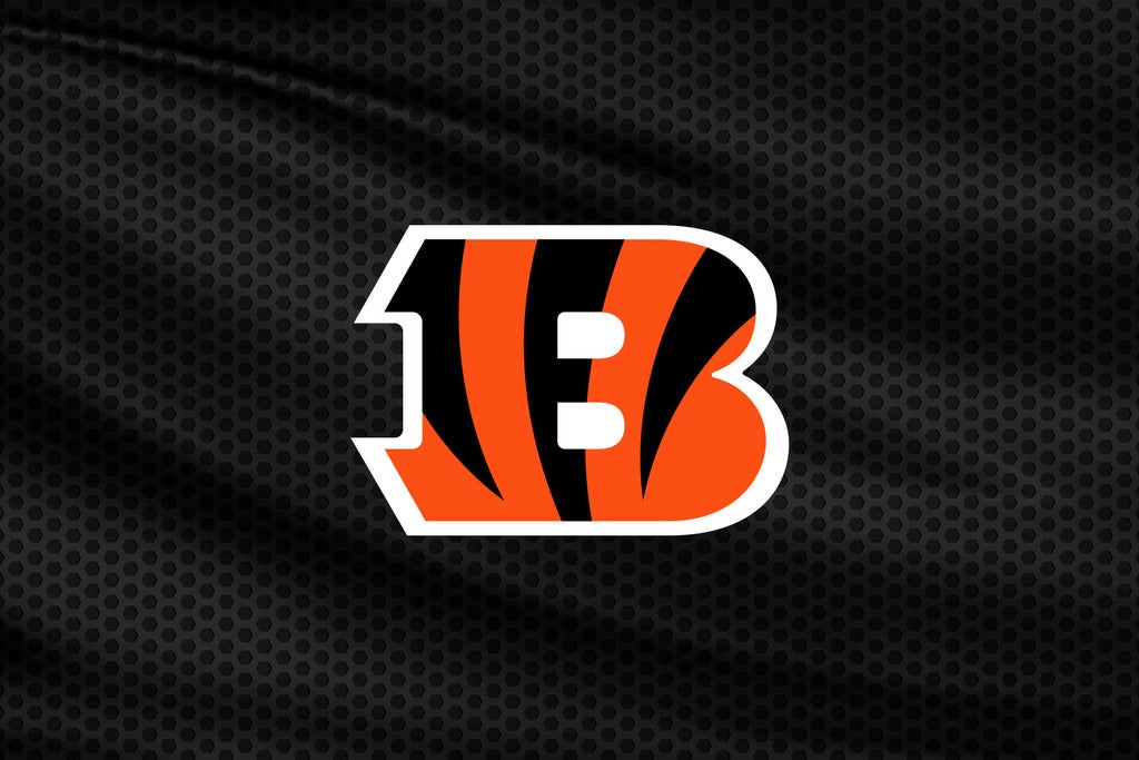 Cincinnati Bengals v TBD - AFC Divisional Game