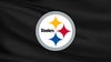 Preseason: Pittsburgh Steelers v Houston Texans